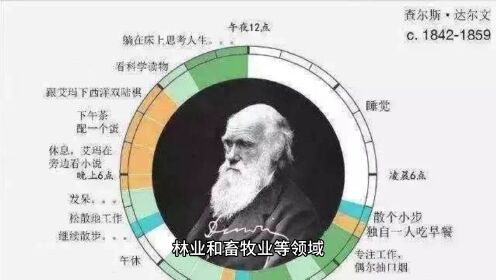 什么是达尔文自然选择理论？有哪些应用？