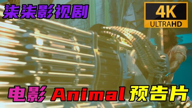 【柒柒影视剧】电影《Animal》4K 预告片