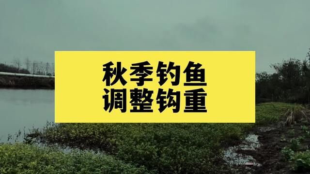 秋季钓鱼千万不要忘记这个调整 #新手钓鱼 #户外垂钓