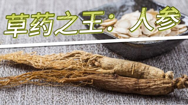 人参:神奇的草药之王