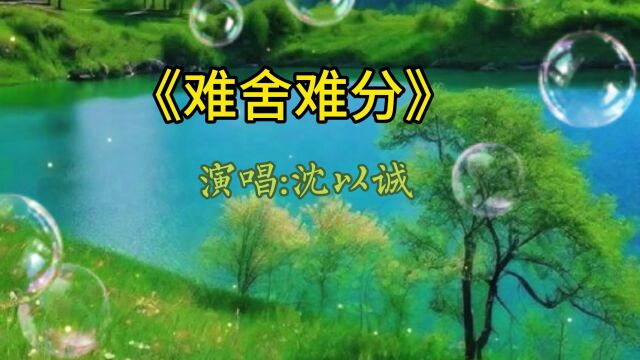 《难舍难分》演唱:沈以诚