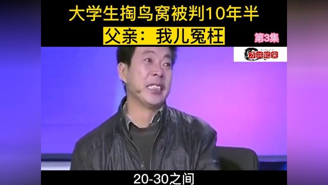 大学生掏鸟窝被判十年半,父亲:我儿冤枉.纪实解说社会百态 3