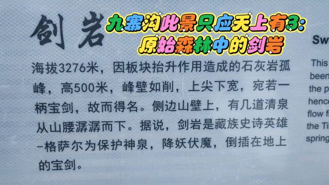 九寨沟此景只应天上有3:原始森林中的剑岩