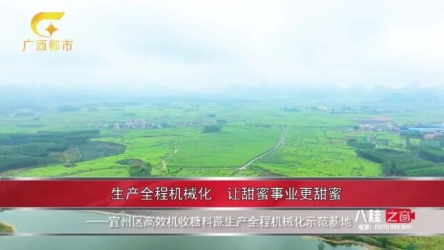 生产全程机械化让甜蜜事业更甜蜜——宜州区高效机收糖料蔗生产全程机械化示范基地