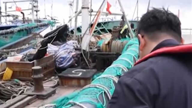 浙江:台风“海葵”临近,多地海上作业船只归港避风