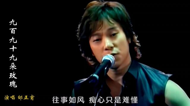 邰正宵演唱一首经典歌曲《九百九十朵玫瑰》,百听不厌,余音绕梁