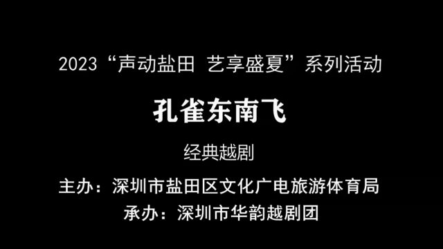 2023年8月20日越剧《孔雀东南飞》深圳市华韵越剧团深圳市盐田区文化中心(13)