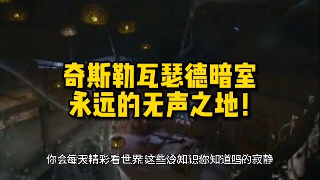 奇斯勒瓦瑟德暗室,永远的无声之地!