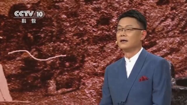 秦桓公讨伐的对象是谁呢?一起来听靳老师的专业解答