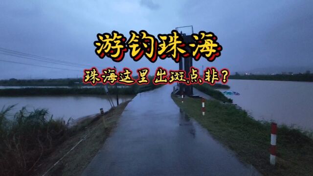 游钓珠海,珠海这里竟然有斑点非?