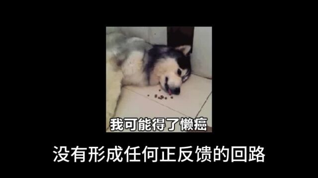 今日话题:有人问,懒的本质是什么?懒惰 人生感悟 情感共鸣