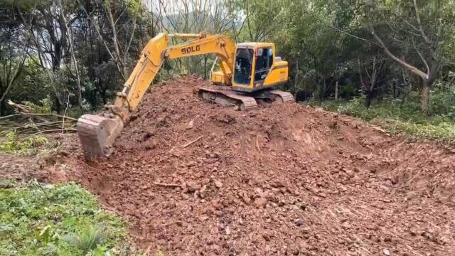 男子铲毁自家林地建养猪场,法院:非法占用近19亩林地,判刑6个月罚1万