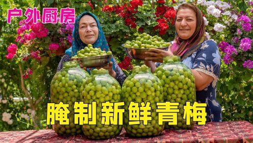 阿塞拜疆人腌制新鲜青梅，没想到果子如此新鲜，看着就让人食欲大开