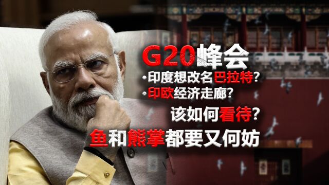 躬身入局不如组局?G20峰会印度看点有感