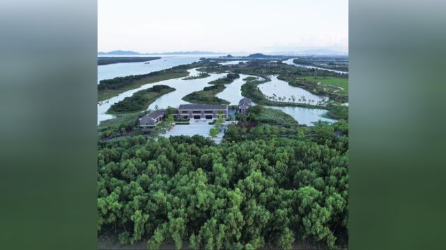 深调研|翠亨新区打造世界级滨海景观长廊