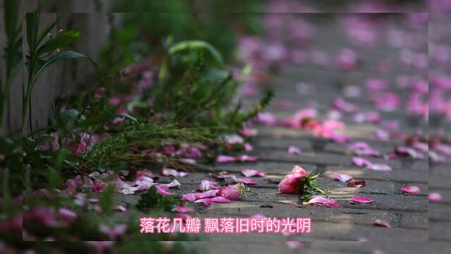 流年远去花开花落再无你