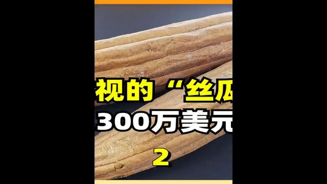 曾被人忽视的“丝瓜络”,被老外批量生产,如今年入300万美元2丝瓜络丝瓜瓤冷知识