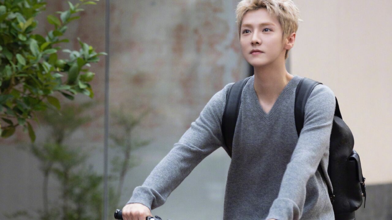 鹿晗是学校的风云人物:高中就有贴吧每天被围观,董子健:传说级别的