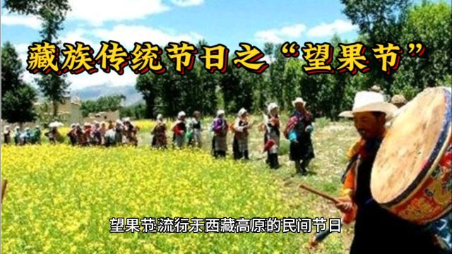 民族民间舞蹈小知识分享!藏族传统节日之“望果节”