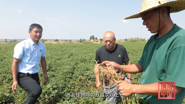 《信用中国》陕西绿叶农化有限责任公司张宏山专访:专注作物健康 服务绿色农业