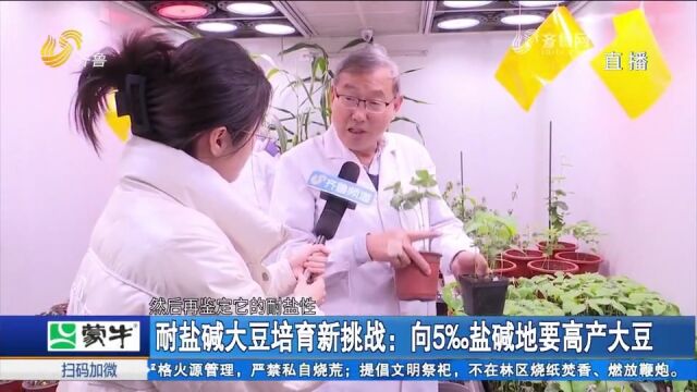 山东耐盐碱大豆突破性新品种培育项目:向5‰盐碱地要高产大豆