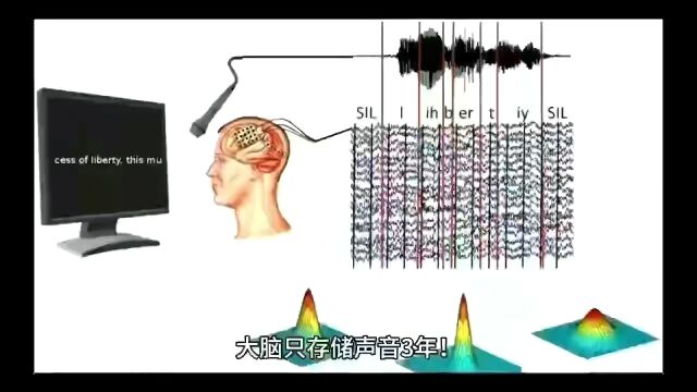 听力损失时间越短、程度越轻、干预越早,听觉功能的退化程度越轻,助听效果越好;反之,退化程度严重者初次佩戴助听器后会出现听到但不能