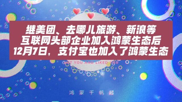 叮~您的鸿蒙原生支付宝到账一万元!不兼容安卓哦