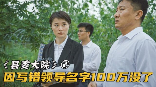 为争取100万资金,书记拦截领导的车,谁知却因写错名字打了水漂