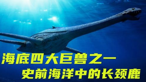 《巨齿鲨2：深渊》海底四大巨兽之一，堪称史前海洋中的长颈鹿！