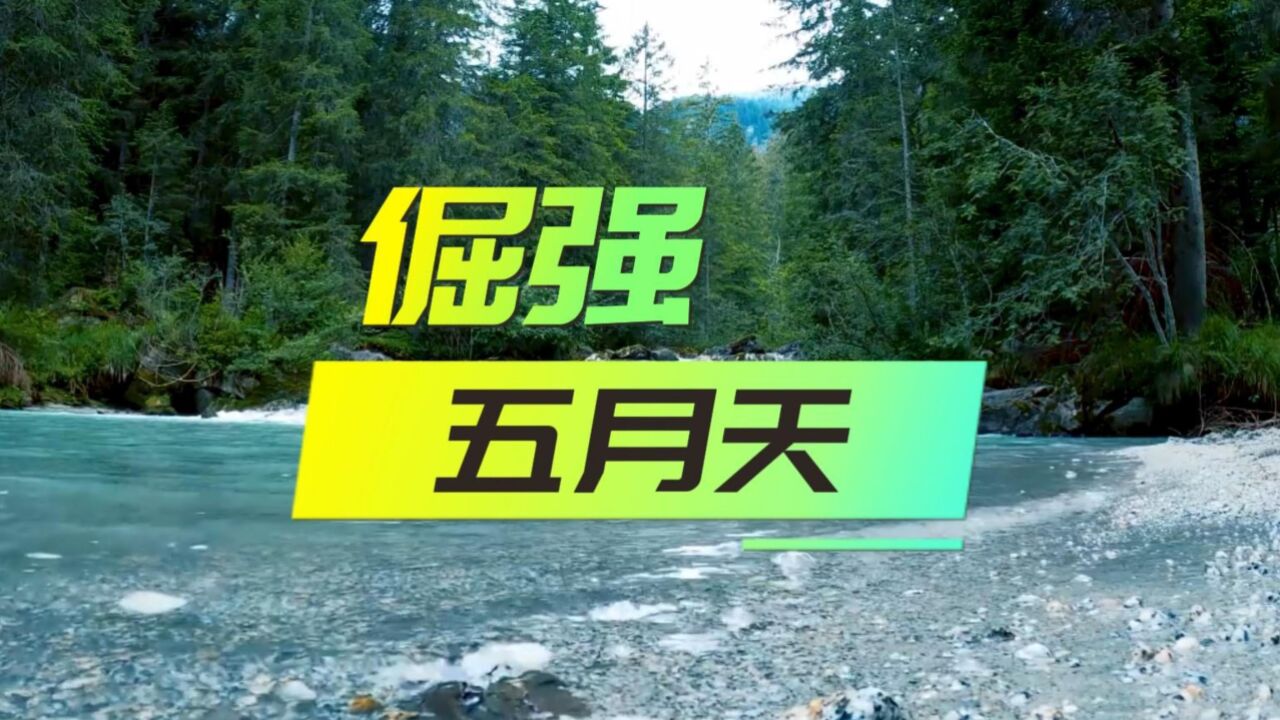 倔强-五月天,完整版无损音质,不可缺少的是一份倔强_高清1080P在线观看平台_腾讯视频