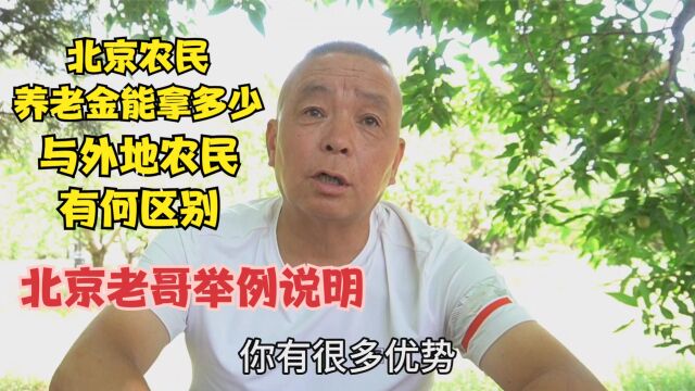 北京农民养老金能拿多少,与外地农民有何区别,听老哥说