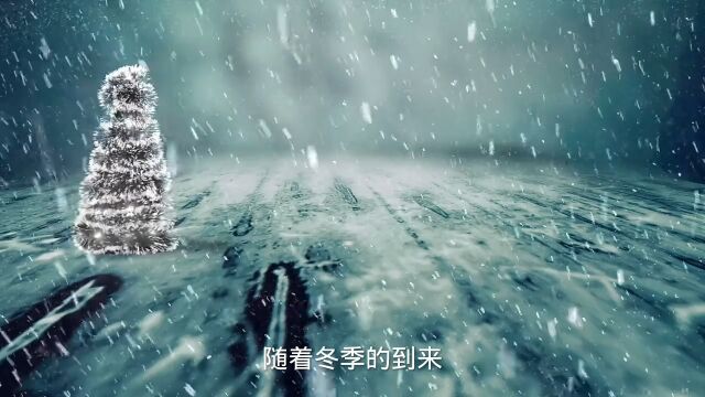 标题:【大雪节气】寒冷中的温暖,感受中国传统文化的魅力