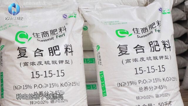 住商肥料“脲醛+”减肥增效中国行——柚子“变壮”的秘密