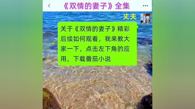 《双情的妻子》全集#番茄小说