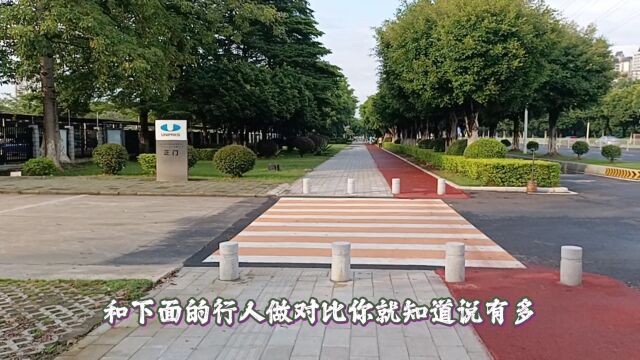 除了广西柳州再也没哪个城市绿化能跟广州比了,空气质量甘拜下风