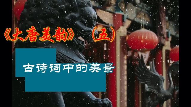 《大唐美韵》(五)