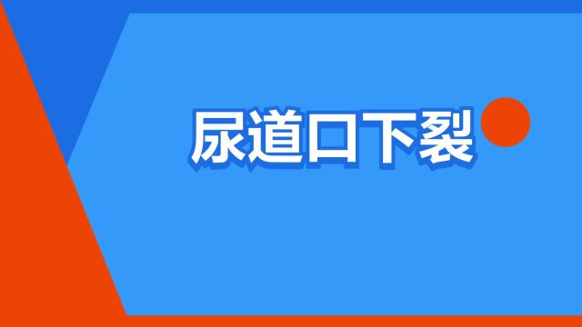 “尿道口下裂”是什么意思?