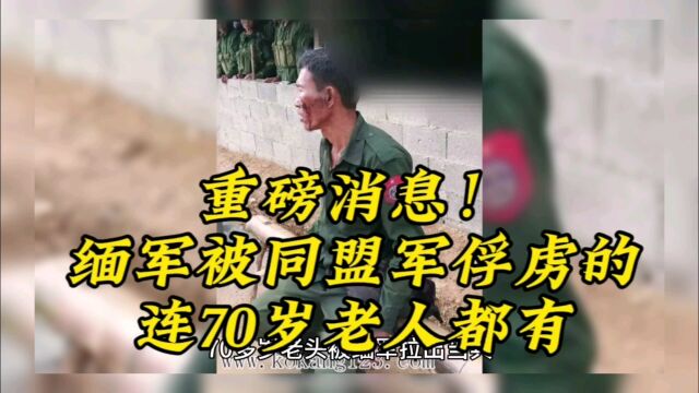 重磅消息!缅军被同盟军俘虏的,连70岁老人都有