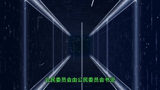 《人类社会的运行规律》:三 设置公民委员会