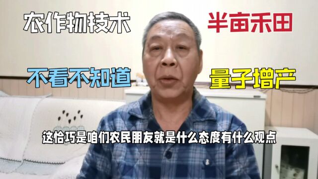 46.河南半亩禾田量子技术,农作物增产30%以上,不看永远不知道