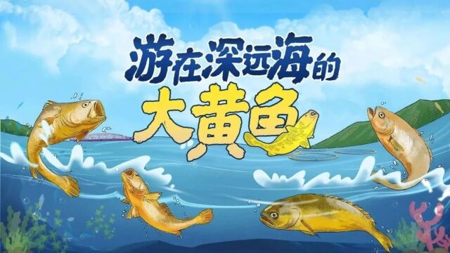 H5丨游在深远海的大黄鱼