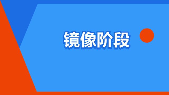 “镜像阶段”是什么意思?