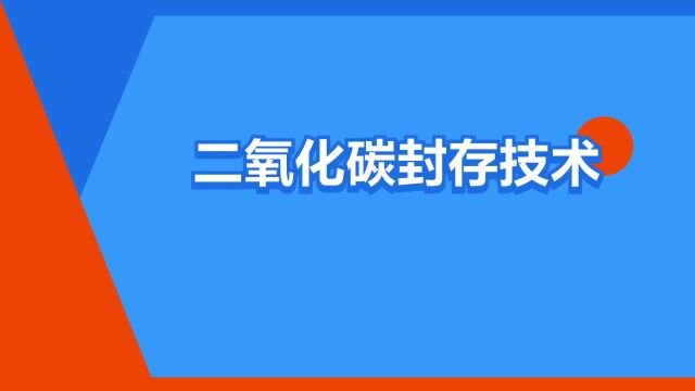 “二氧化碳封存技术”是什么意思?