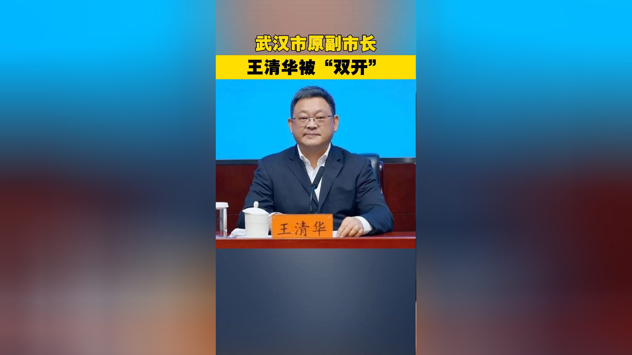 武汉市原副市长王清华被双开
