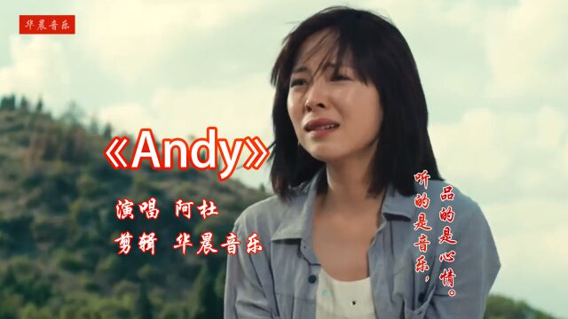 《Andy》:年少不懂曲中意,听懂已过而立年