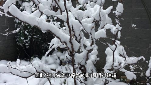 鹅毛大雪与连绵细雪：深入解析暴雪现象