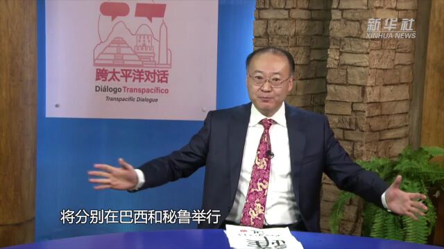 新华社年终观世界ⷦ‹‰美篇|“稳”“变”“进”三个关键字看拉美