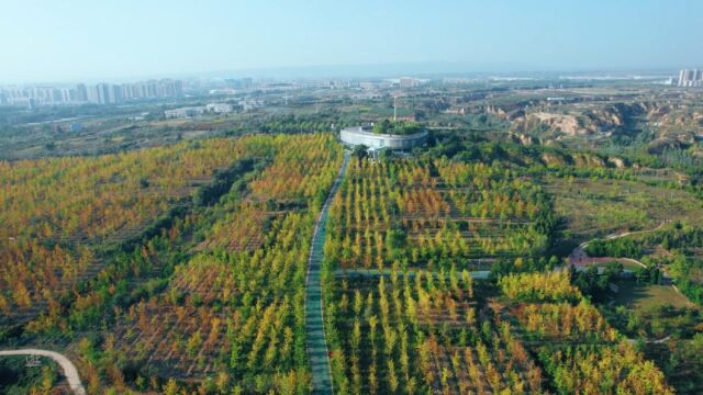 山西晋中百草坡森林植物园美丽景色