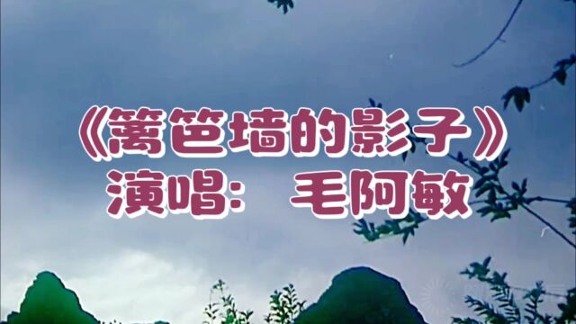 经典老歌《篱笆墙的影子》原唱毛阿敏 歌词句句入心 唱尽生活酸甜苦辣