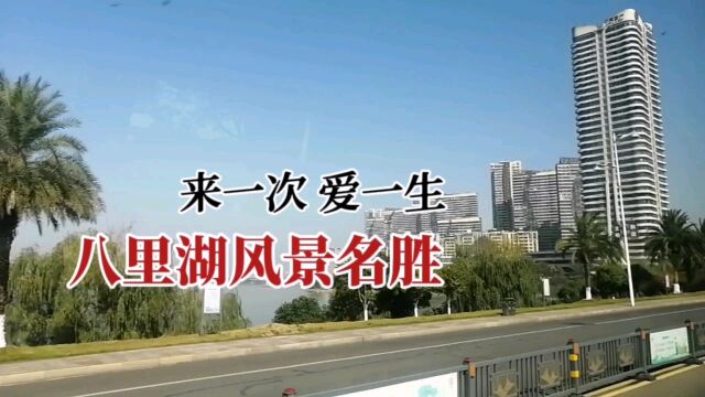 来一次,爱一生:九江八里湖风光欣赏!